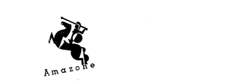 AMAZONE logo