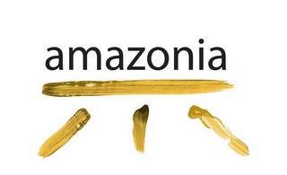 AMAZONIA logo