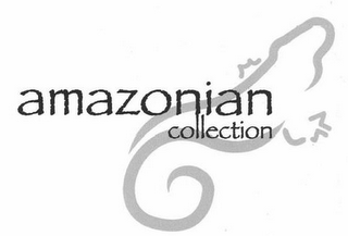 AMAZONIAN COLLECTION logo