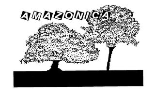 AMAZONICA logo