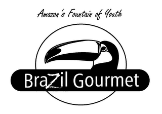 AMAZON'S FOUNTAIN OF YOUTH BRAZIL GOURMET logo