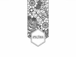 AMAZÓNIA logo