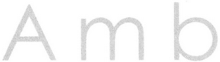 AMB logo