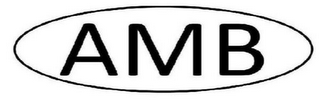 AMB INSIDE A HORIZONTAL OVAL logo