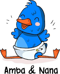 AMBA & NANA logo