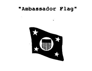 AMBASSADOR FLAG logo
