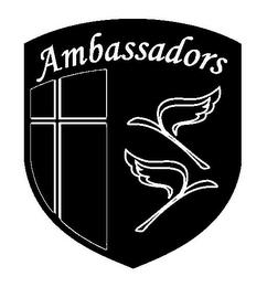 AMBASSADORS logo