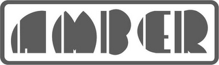 AMBER logo