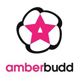 AMBER BUDD logo