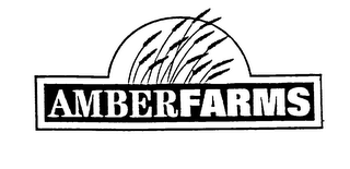 AMBER FARMS logo