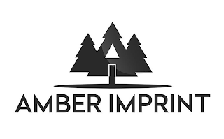 AMBER IMPRINT logo