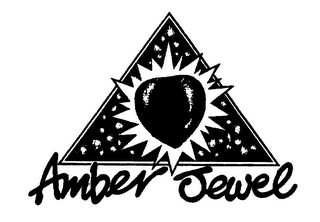 AMBER JEWEL logo