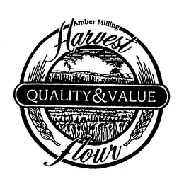 AMBER MILLING HARVEST QUALITY & VALUE FLOUR logo