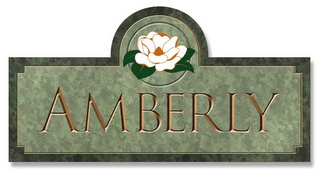 AMBERLY logo