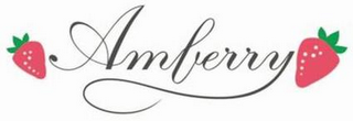 AMBERRY logo