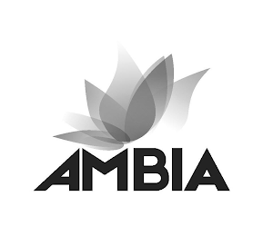 AMBIA logo