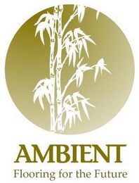 AMBIENT FLOORING FOR THE FUTURE logo
