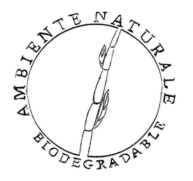 AMBIENTE NATURALE BIODEGRADABLE