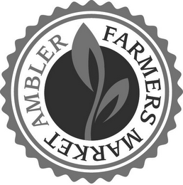 AMBLER FARMERS MARKET logo
