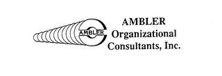 AMBLER ORGANIZATIONAL CONSULTANTS, INC. logo