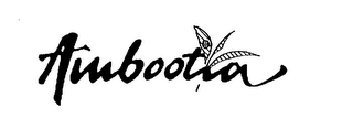 AMBOOTIA logo