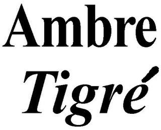 AMBRE TIGRÉ logo