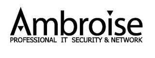 AMBROISE PROFESSIONAL IT SECURITY & NETWORK logo