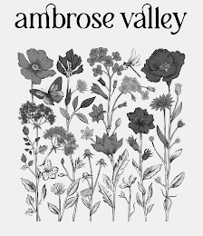 AMBROSE VALLEY logo