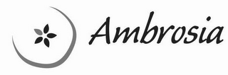 AMBROSIA logo