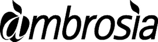 AMBROSIA logo