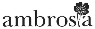 AMBROSIA logo