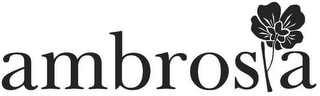 AMBROSIA logo