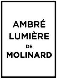 AMBRÉ LUMIÈRE DE MOLINARD logo