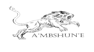 A'MBSHUN'E logo