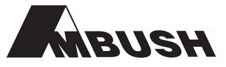 AMBUSH logo