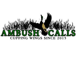 AMBUSH CALLS CUPPING WINGS SINCE 2015 logo