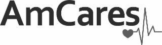 AMCARES logo