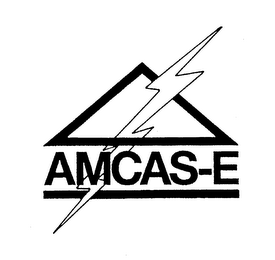 AMCAS-E logo