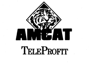 AMCAT TELEPROFIT logo