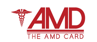 AMD THE AMD CARD logo