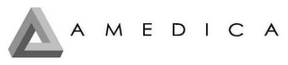 AMEDICA logo
