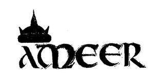 AMEER logo