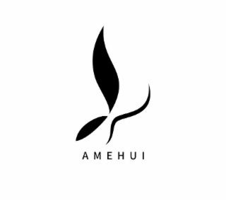 AMEHUI logo
