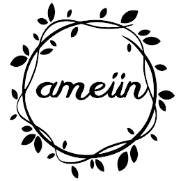 AMEIIN logo