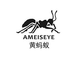 AMEISEYE logo