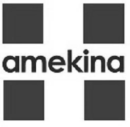 AMEKINA logo