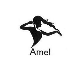 AMEL logo