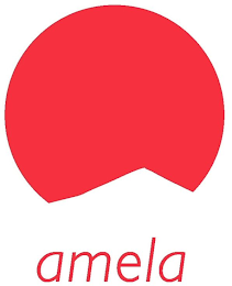 AMELA logo