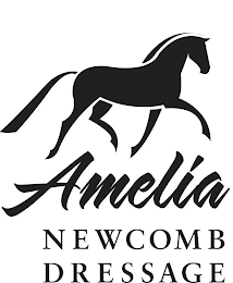 AMELIA NEWCOMB DRESSAGE logo
