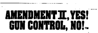 AMENDMENT II, YES! GUN CONTROL, NO! logo